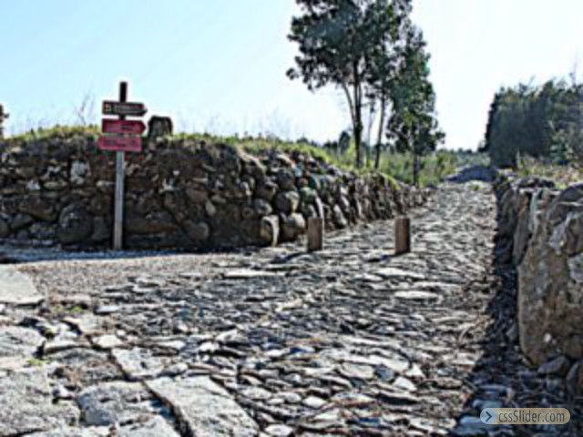 Military Road